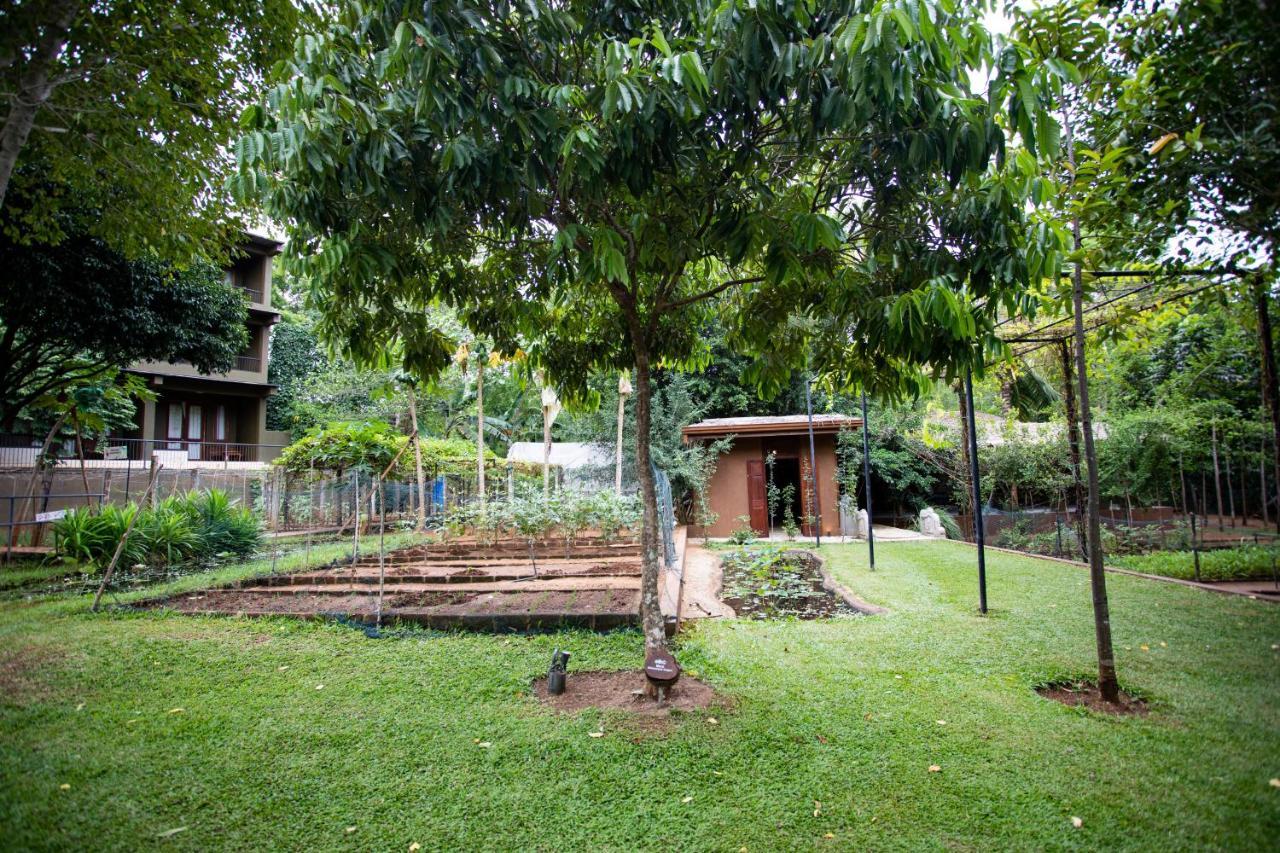 Kalu'S Hideaway Udawalawe Hotel Kültér fotó