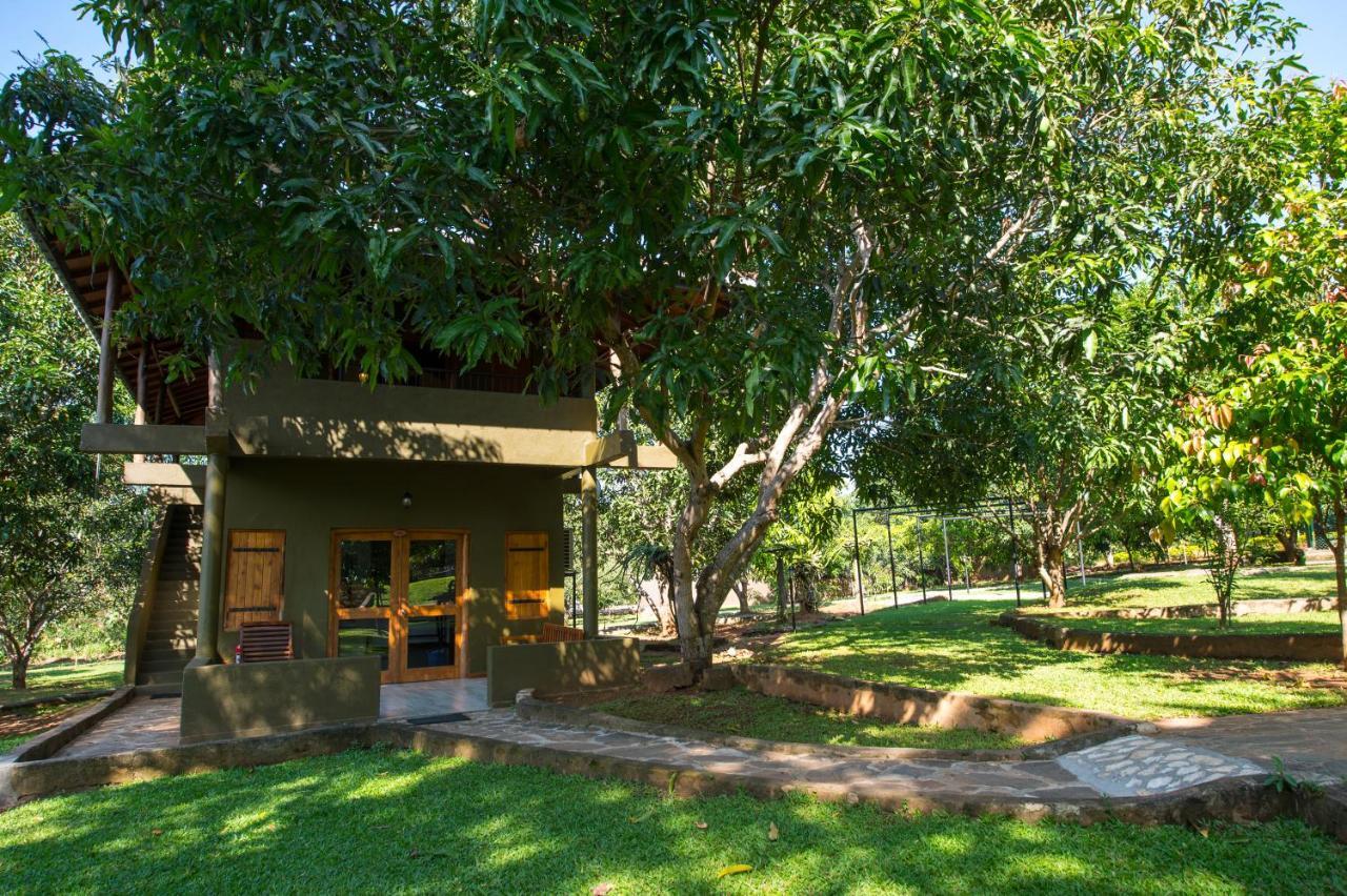 Kalu'S Hideaway Udawalawe Hotel Kültér fotó