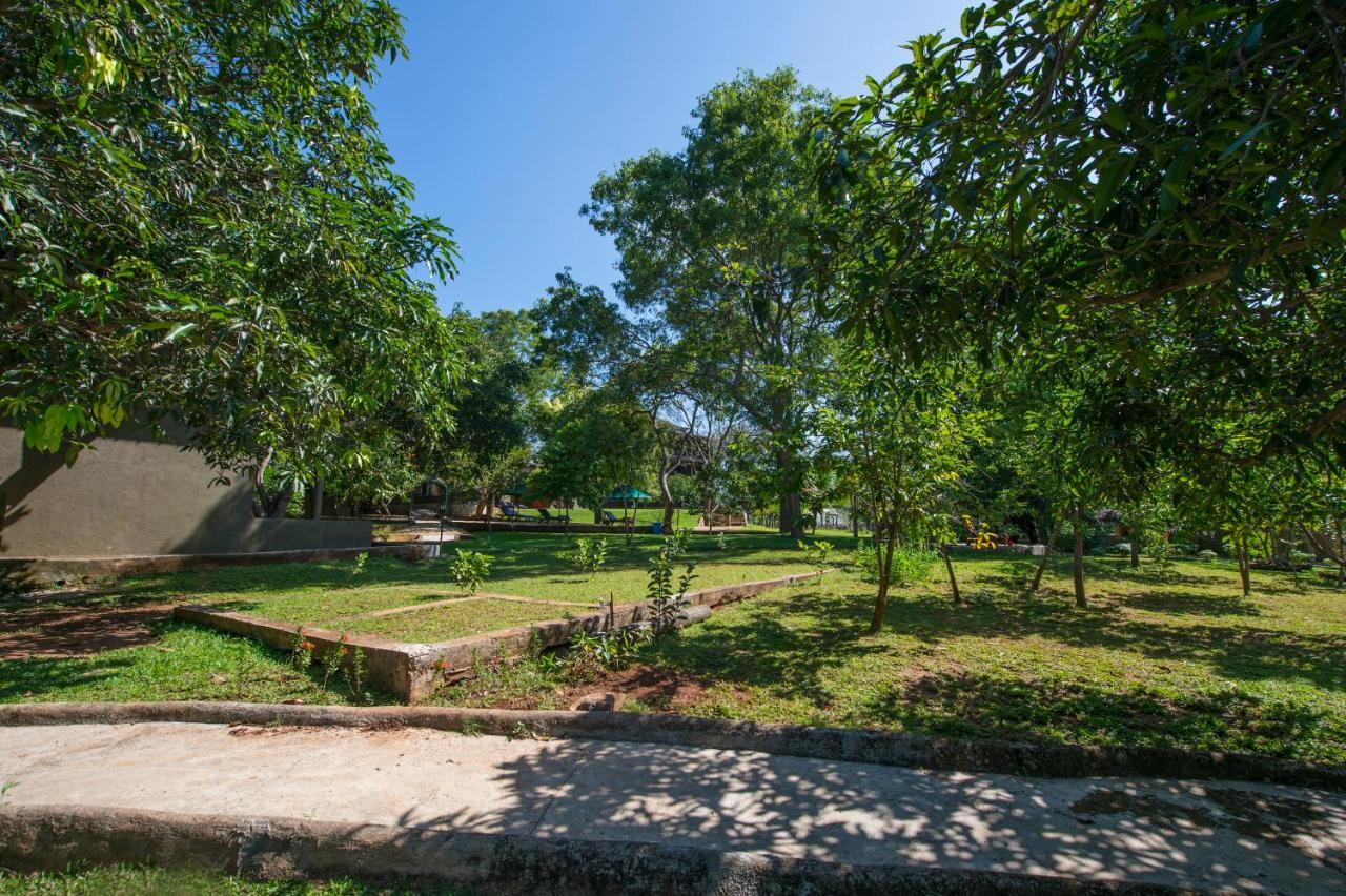 Kalu'S Hideaway Udawalawe Hotel Kültér fotó